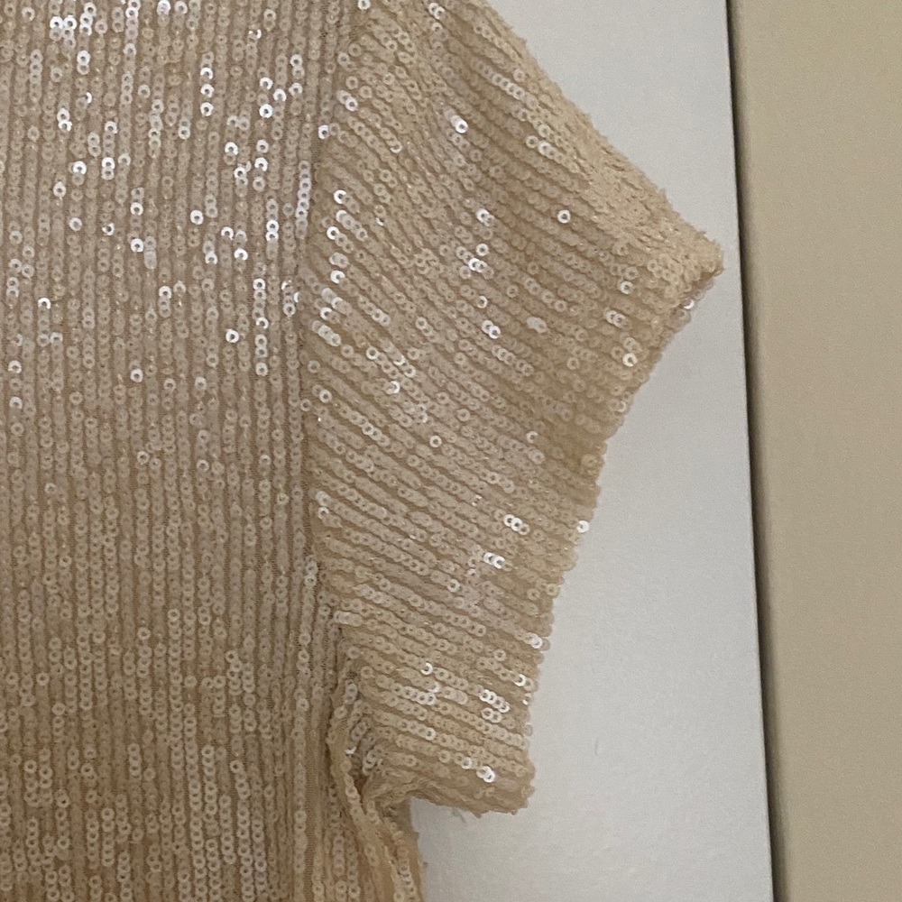 Generation Love Sparkling Beige Lined Sequin Top - Picture 4 of 6